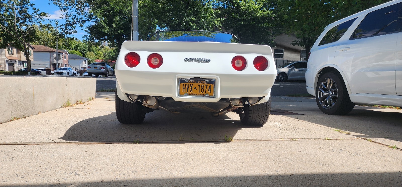 Chevrolet-Corvette-1981-1