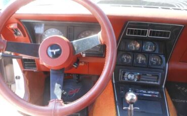 Chevrolet-Corvette-1981-10