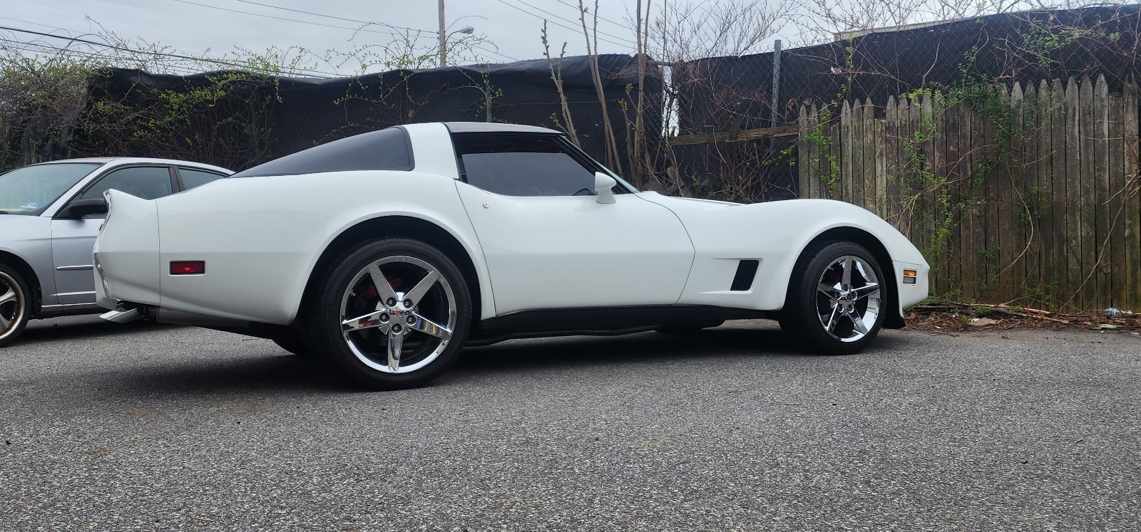 Chevrolet-Corvette-1981-10