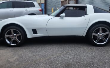 Chevrolet-Corvette-1981-11