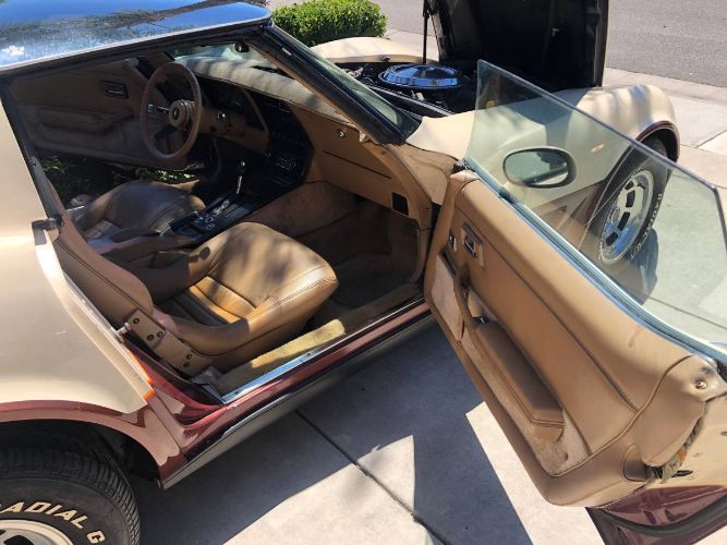 Chevrolet-Corvette-1981-11