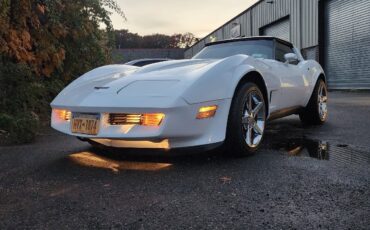 Chevrolet-Corvette-1981-12