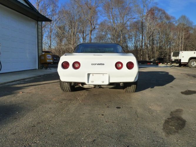 Chevrolet-Corvette-1981-12
