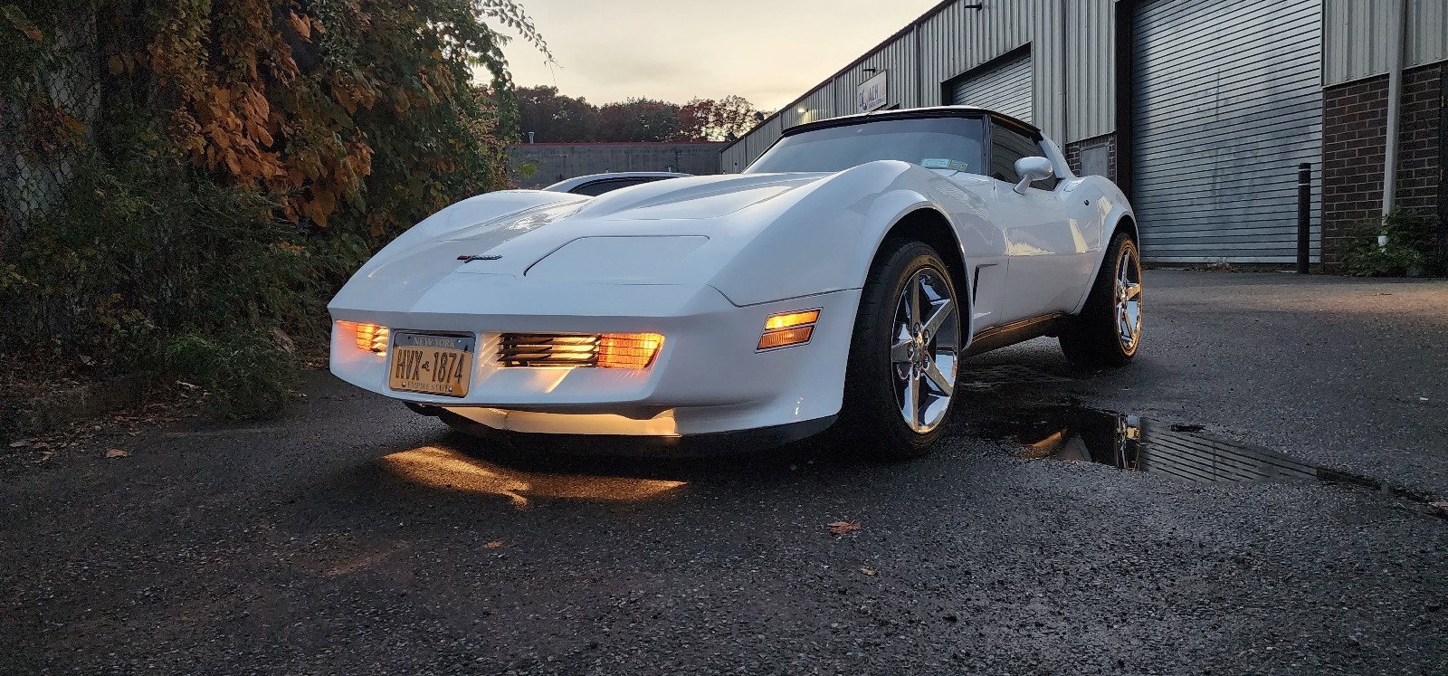 Chevrolet-Corvette-1981-12