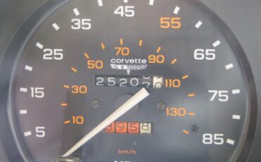 Chevrolet-Corvette-1981-13
