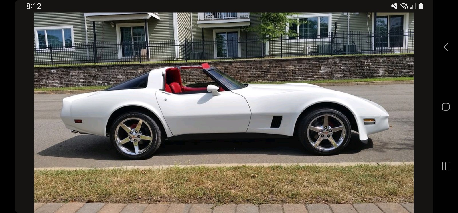 Chevrolet-Corvette-1981-13