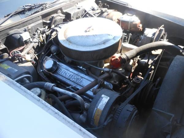 Chevrolet-Corvette-1981-14