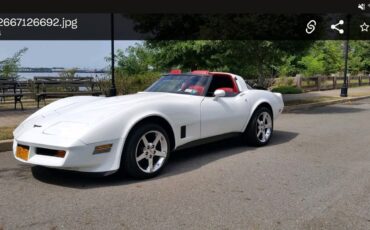 Chevrolet-Corvette-1981-14
