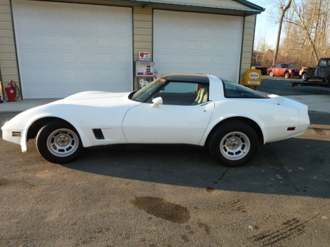 Chevrolet-Corvette-1981-14