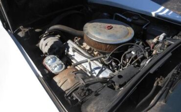 Chevrolet-Corvette-1981-15