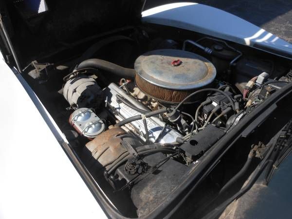 Chevrolet-Corvette-1981-15