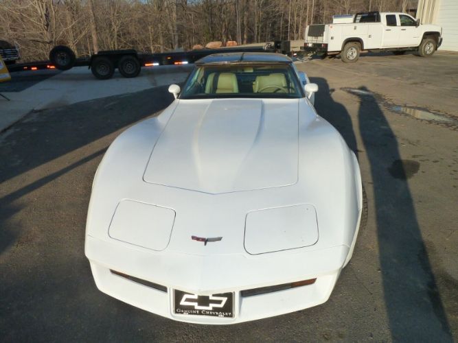 Chevrolet-Corvette-1981-15