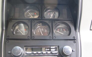 Chevrolet-Corvette-1981-17