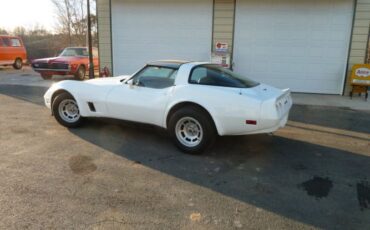 Chevrolet-Corvette-1981-17