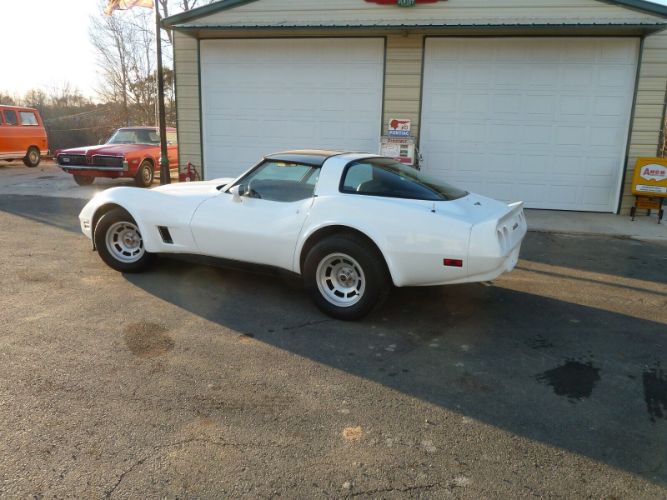 Chevrolet-Corvette-1981-17