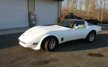 Chevrolet-Corvette-1981-19