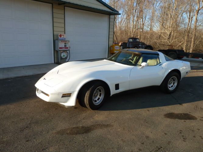 Chevrolet-Corvette-1981-19
