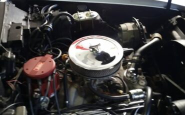 Chevrolet-Corvette-1981-19