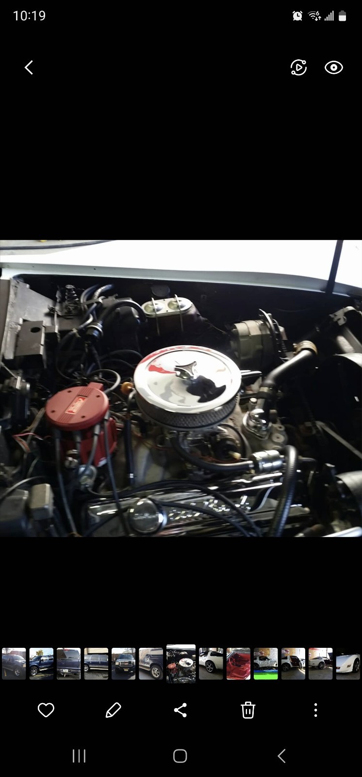Chevrolet-Corvette-1981-19
