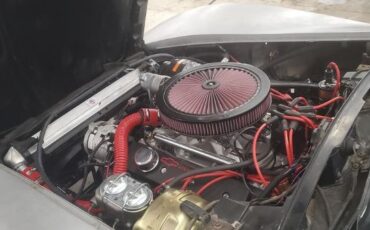 Chevrolet-Corvette-1981-2