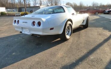 Chevrolet-Corvette-1981-2