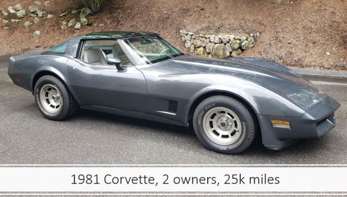 Chevrolet-Corvette-1981-22