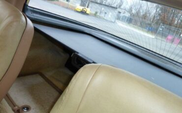 Chevrolet-Corvette-1981-24
