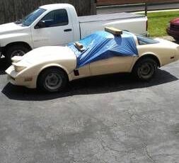 Chevrolet-Corvette-1981-3