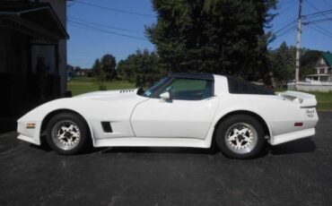 Chevrolet-Corvette-1981-4