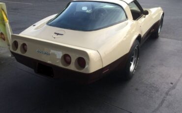 Chevrolet-Corvette-1981-4
