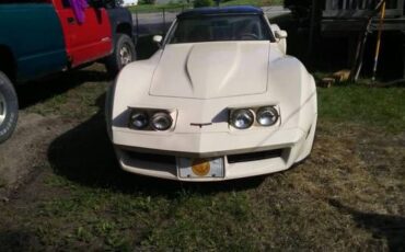 Chevrolet-Corvette-1981-5