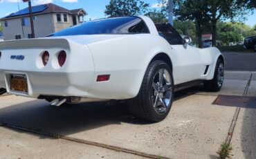 Chevrolet-Corvette-1981-6