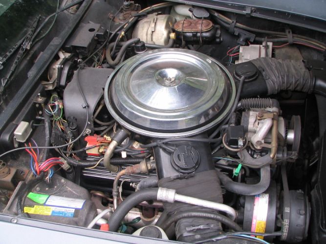 Chevrolet-Corvette-1981-6