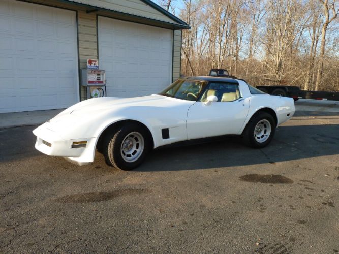 Chevrolet-Corvette-1981-6
