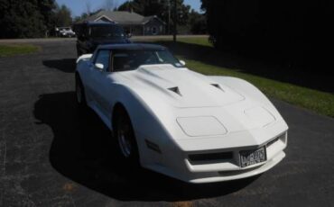 Chevrolet-Corvette-1981-7