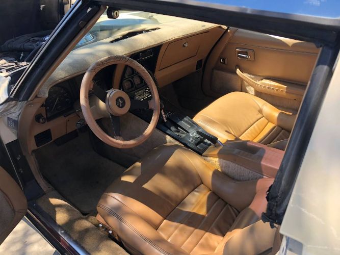 Chevrolet-Corvette-1981-7