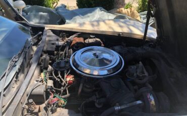 Chevrolet-Corvette-1981-9