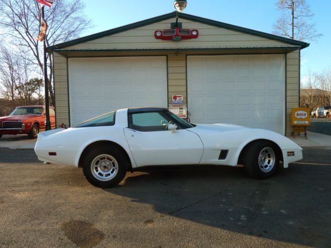 Chevrolet-Corvette-1981-9
