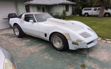 Chevrolet-Corvette-1981-Baby-Blue-5