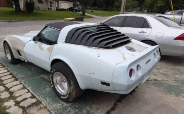 Chevrolet-Corvette-1981-Baby-Blue-6