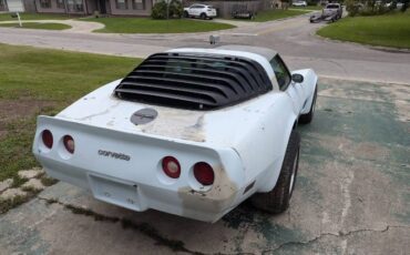 Chevrolet-Corvette-1981-Baby-Blue-7