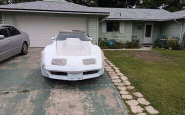Chevrolet-Corvette-1981-Baby-Blue-8