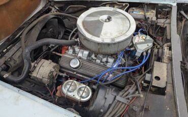 Chevrolet-Corvette-1981-Baby-Blue-9