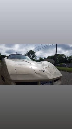 Chevrolet-Corvette-1981-Beige-4