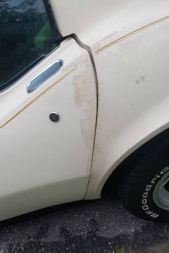 Chevrolet-Corvette-1981-Beige-5