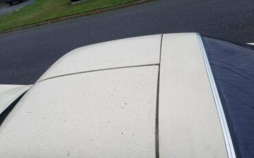 Chevrolet-Corvette-1981-Beige-6