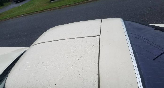 Chevrolet-Corvette-1981-Beige-6