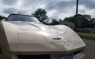Chevrolet-Corvette-1981-Beige-7