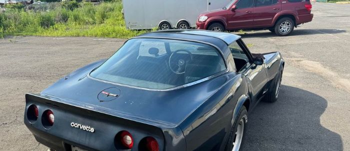 Chevrolet-Corvette-1981-Blue-Blue-1