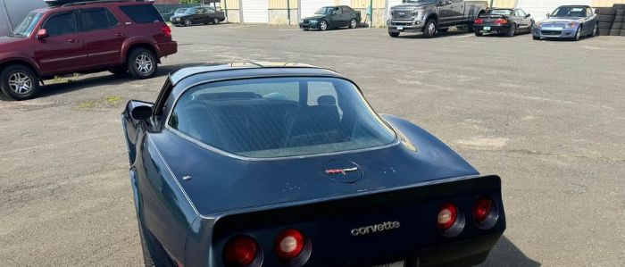 Chevrolet-Corvette-1981-Blue-Blue-2